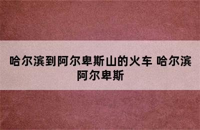 哈尔滨到阿尔卑斯山的火车 哈尔滨阿尔卑斯